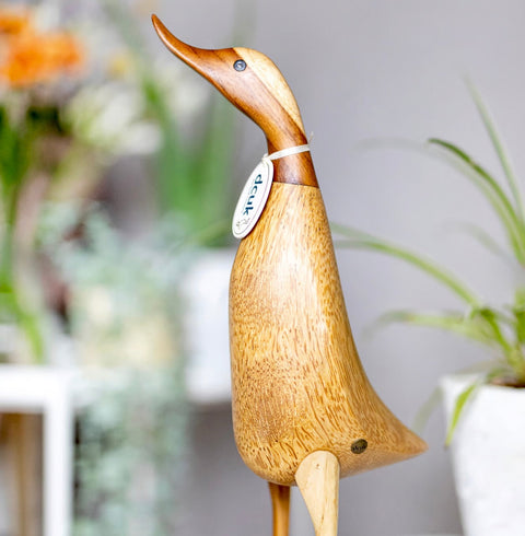 natural finish duck