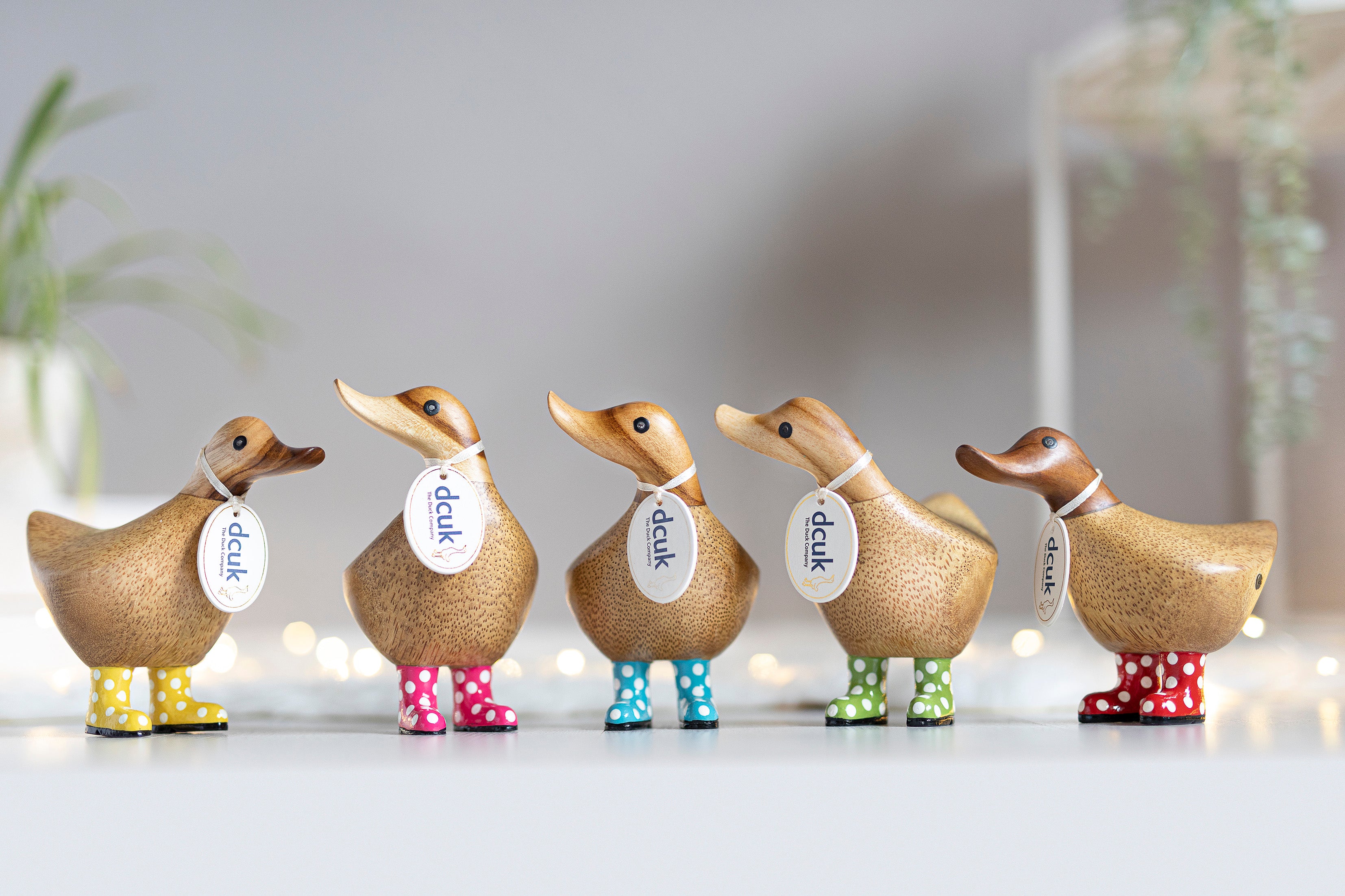 Duck wooden ducks with on sale wellies