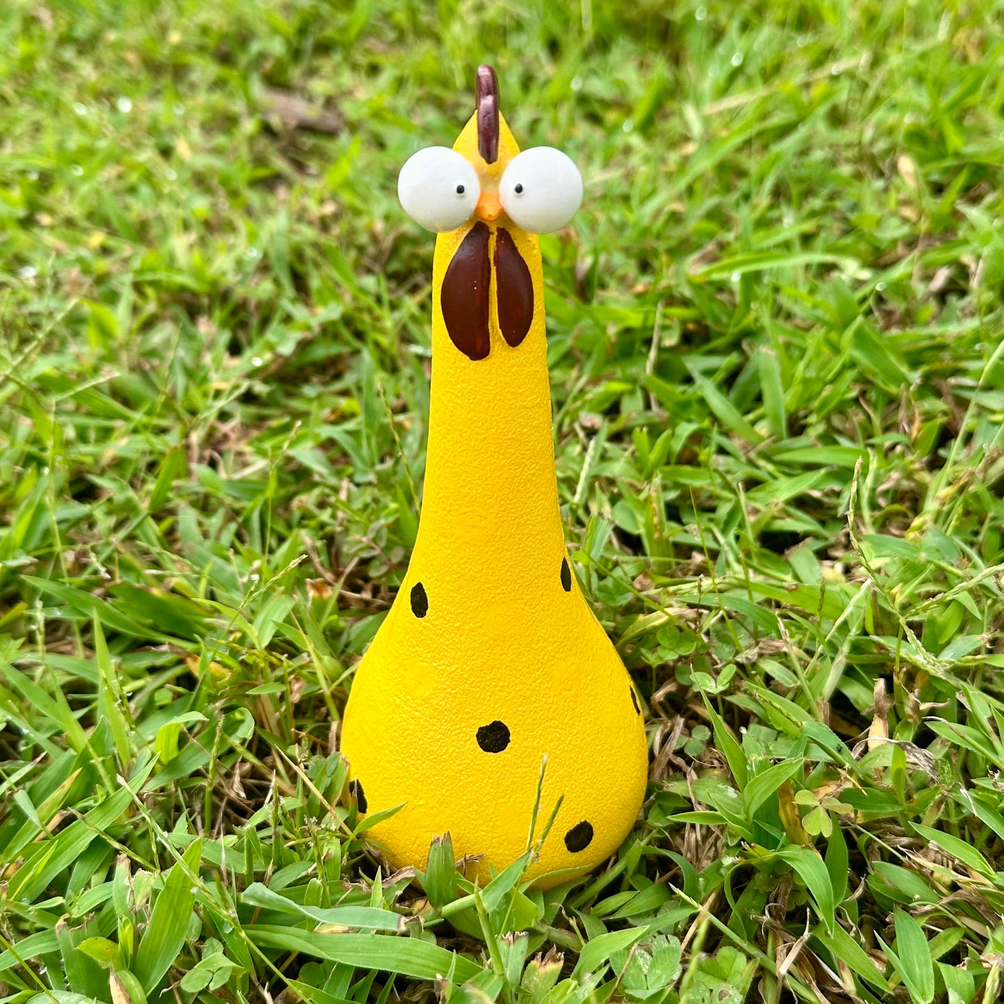 Crazy Chickens