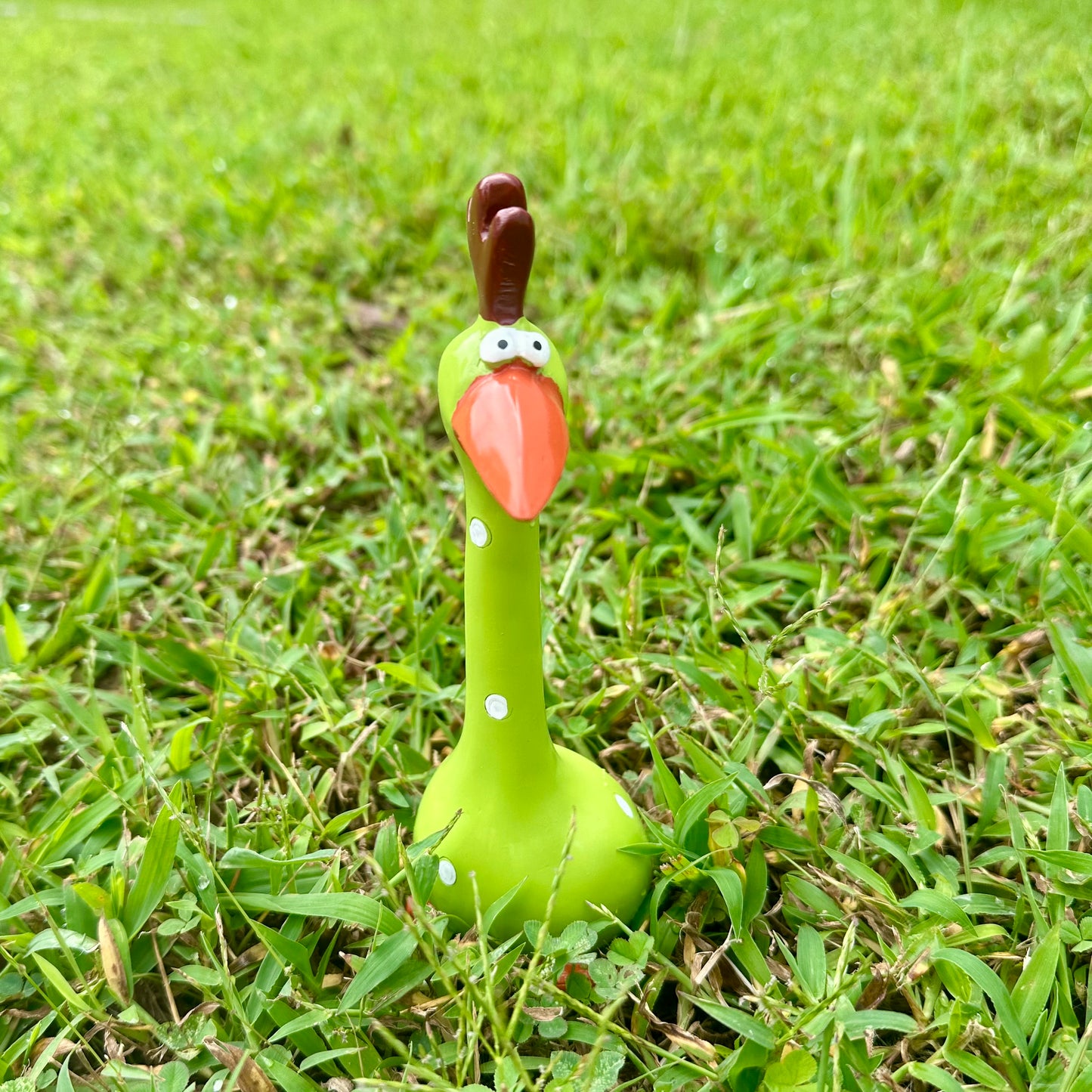 Crazy Chickens