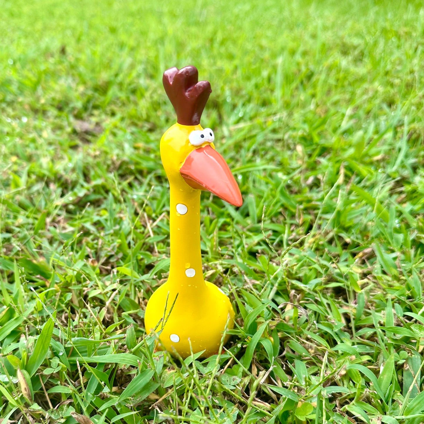 Crazy Chickens