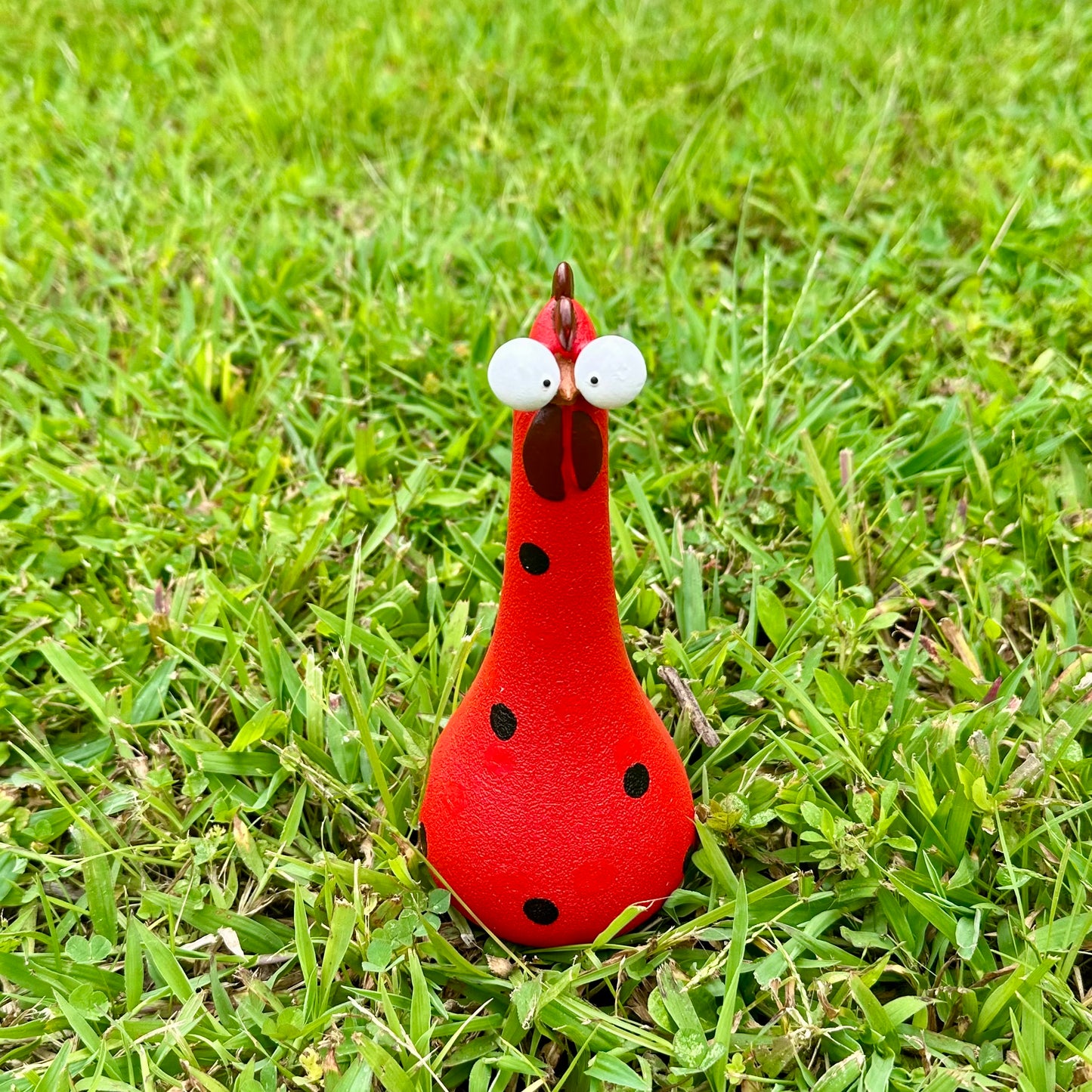 Crazy Chickens
