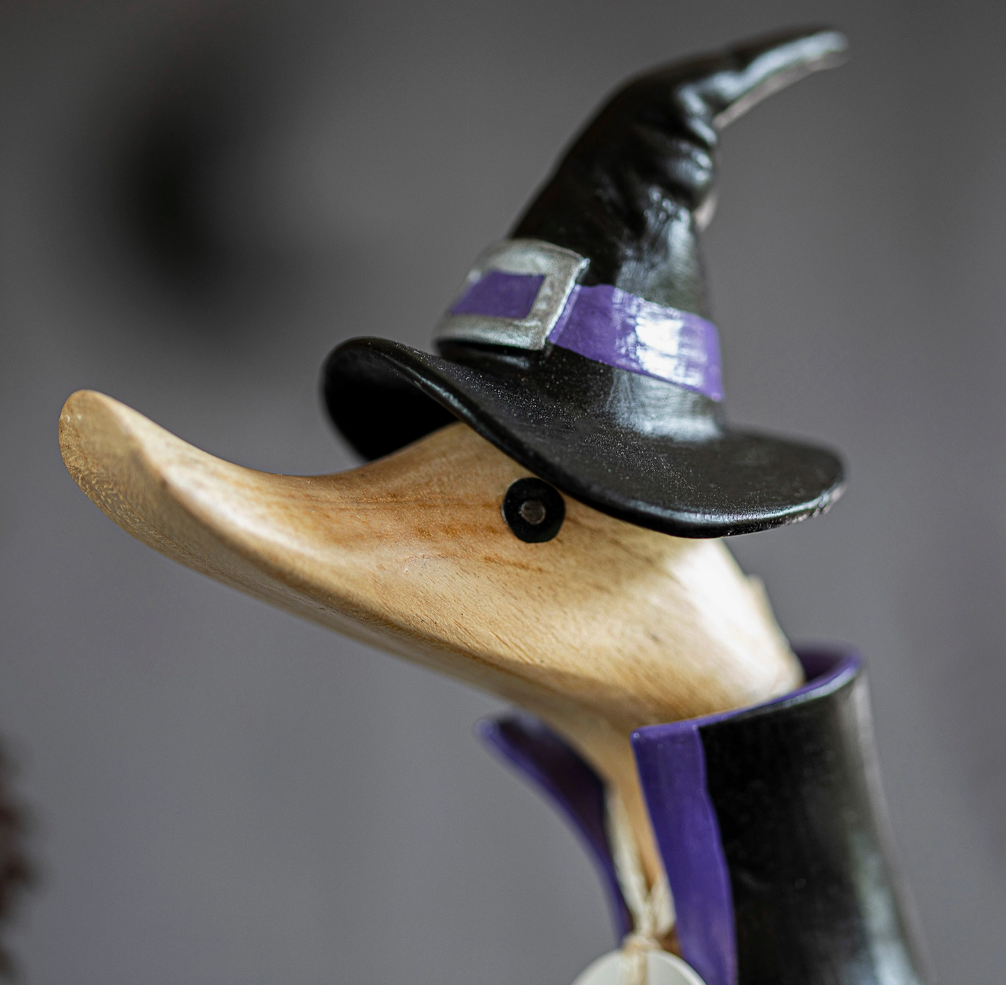 DCUK Wizard Halloween Ducklings