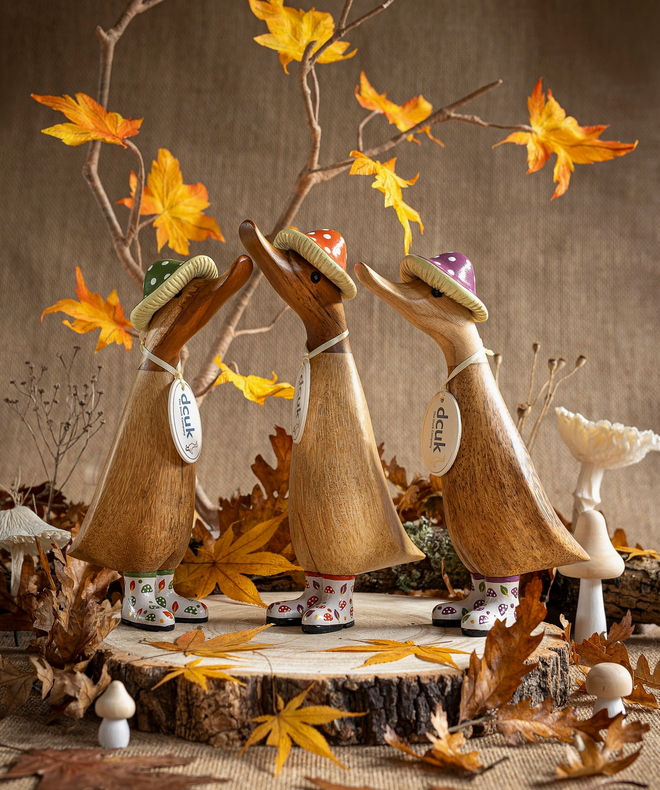 DCUK Toadstool Folk Autumn Ducklings