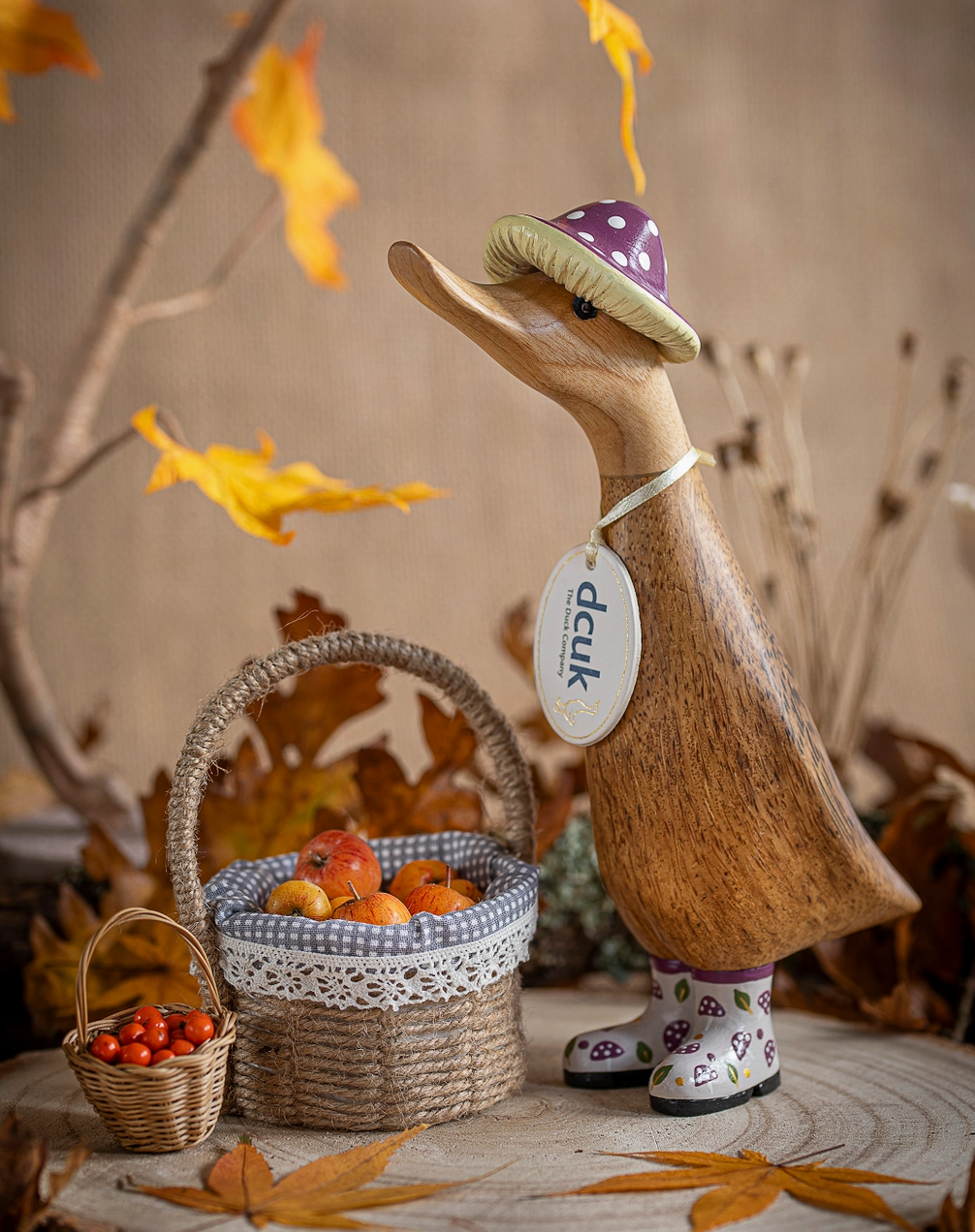 DCUK Toadstool Folk Autumn Ducklings