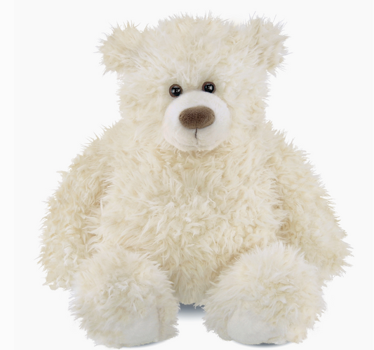 Scruffy the Teddy Bear
