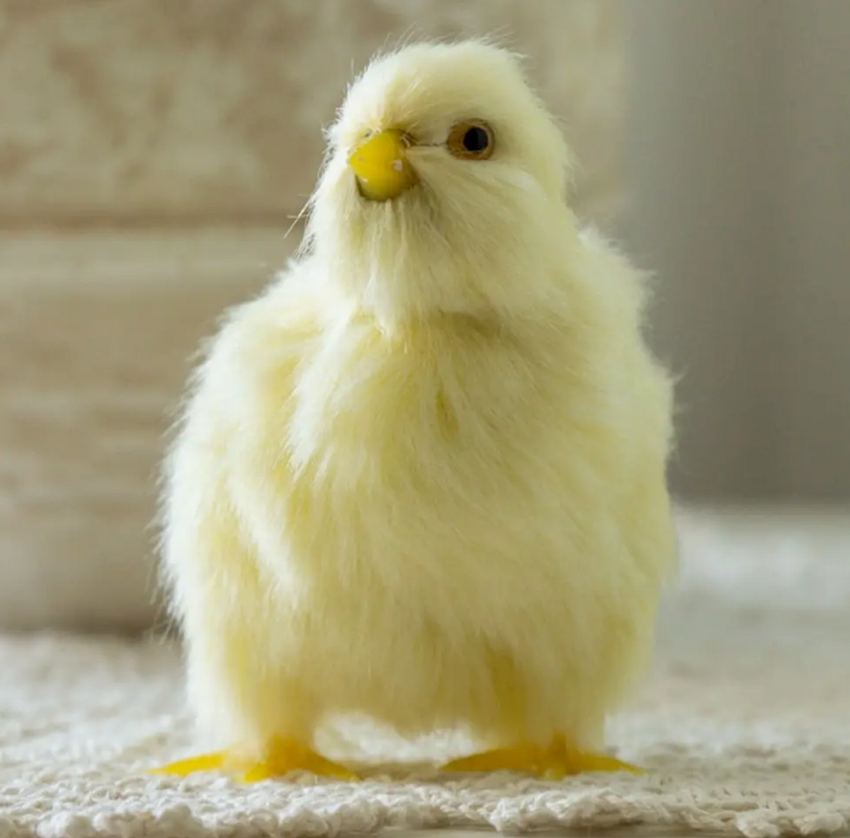 Fluffy Yellow Chicks - (sold individually)