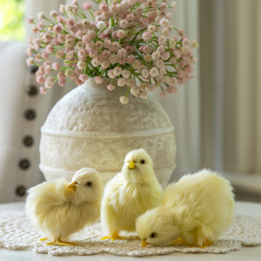 Fluffy Yellow Chicks - (sold individually)