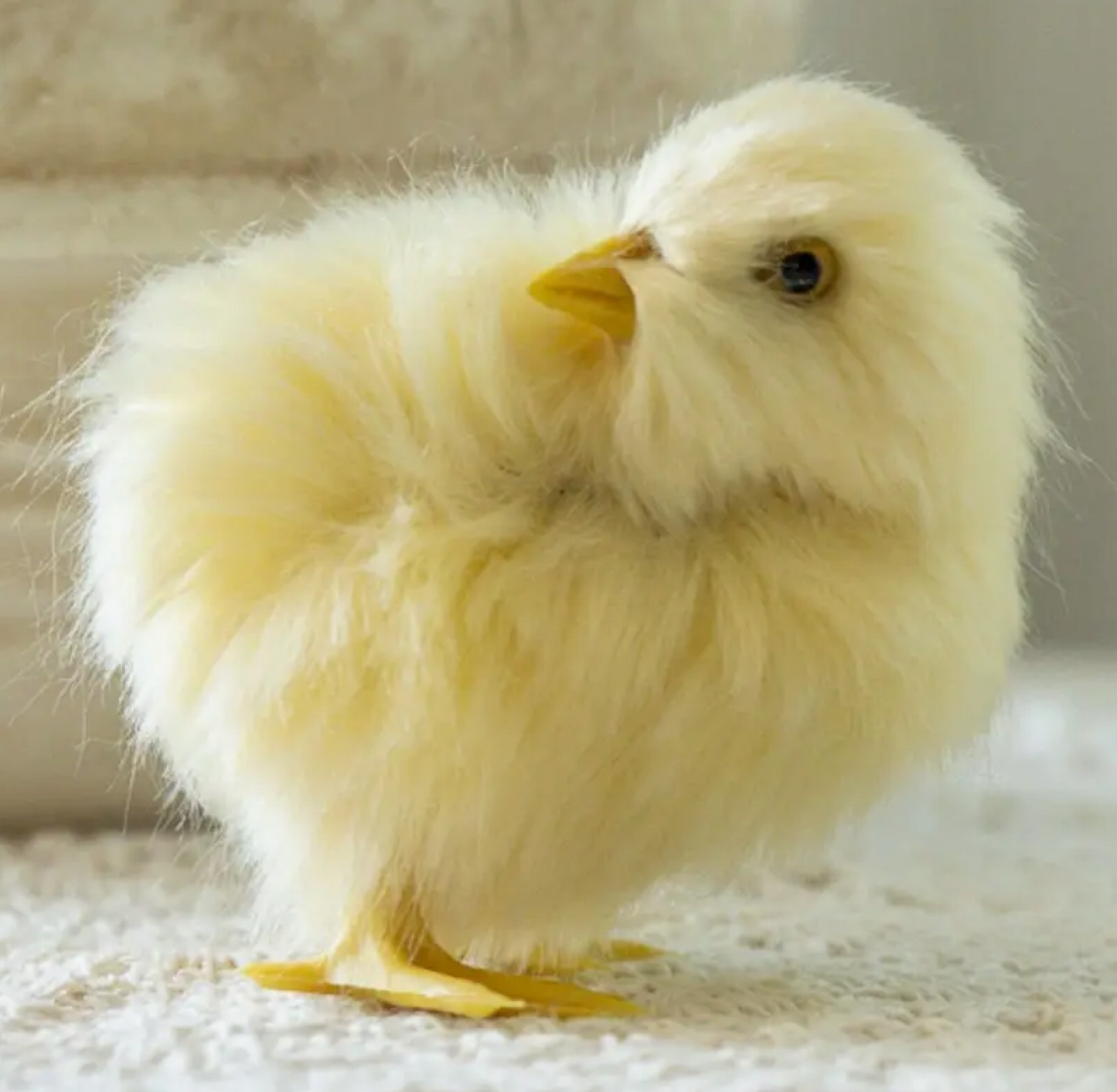 Fluffy Yellow Chicks - (sold individually)