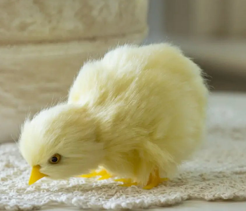 Fluffy Yellow Chicks - (sold individually)