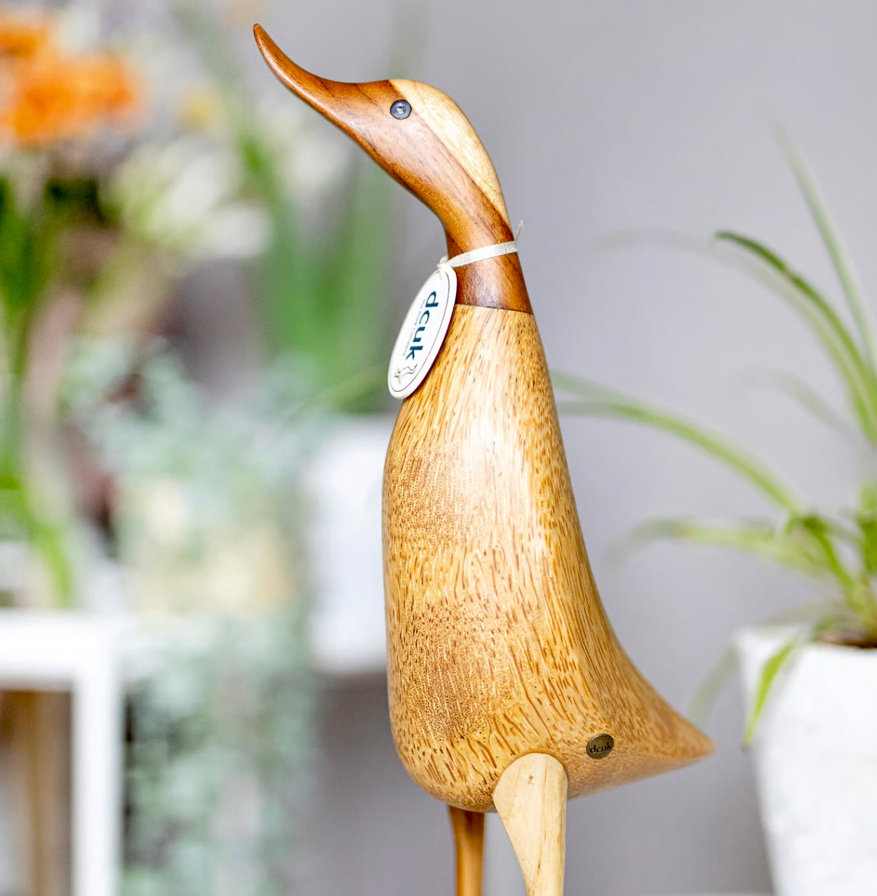 DCUK Natural Finish Duck