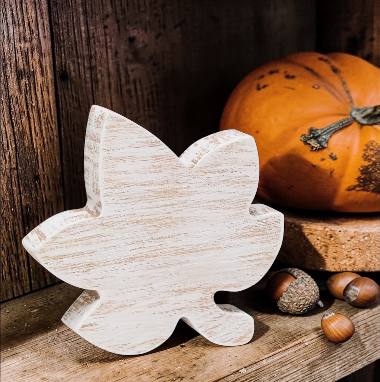 Fall Sweet Gum Leaf Sitters